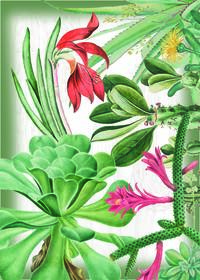 SET STROFINACCIO 2PZ SIENNA 50X70 Tellini S.R.L. Χονδρική ενδυμασία